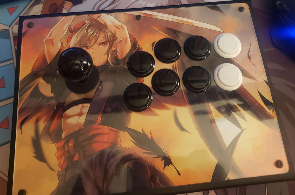 Custom Fight Stick Vinyl